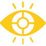 vision log